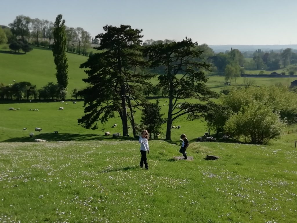 Balade accompagnée dans la ferme